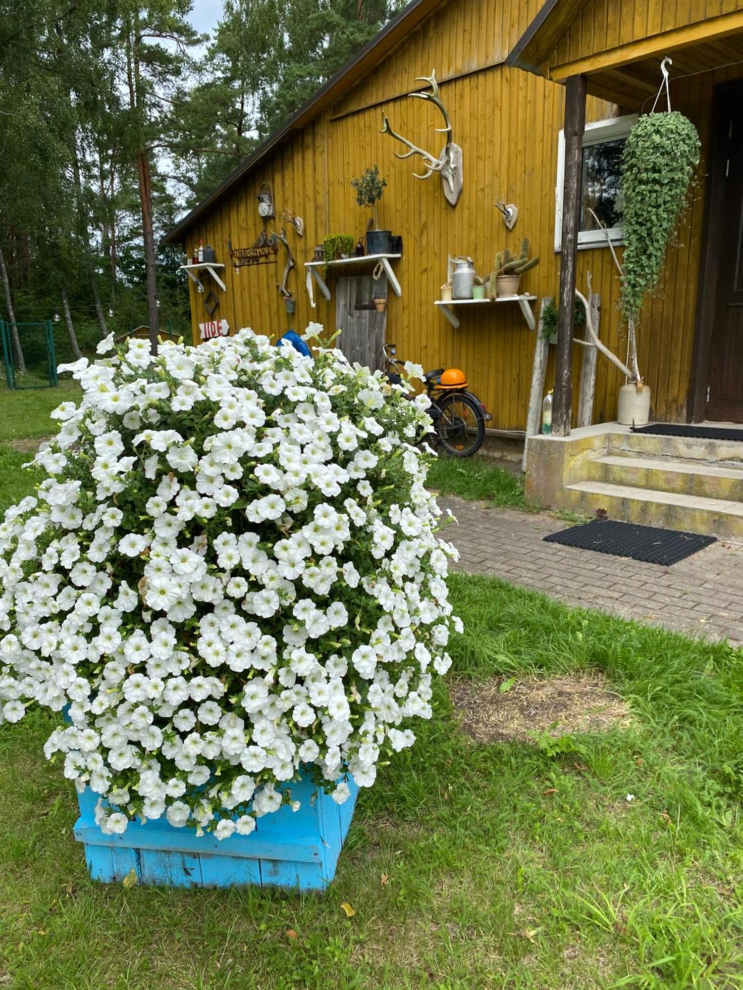Torgu Royal Guesthouse Iide Экстерьер фото